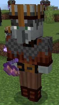 description_13 Villager-soldier.