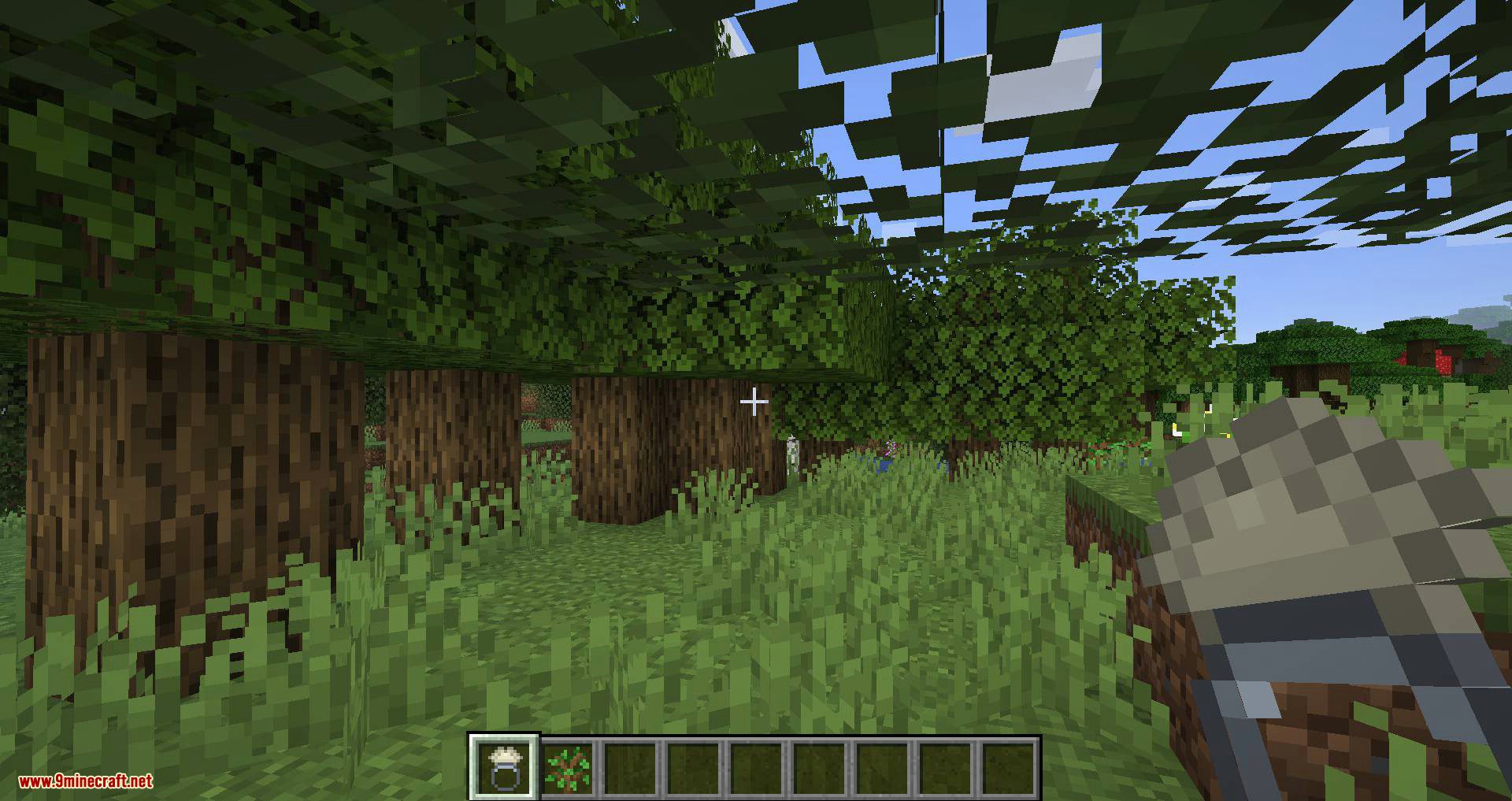 image 5 for Growth Ring Mode (1.20.5) - accelerated growth.