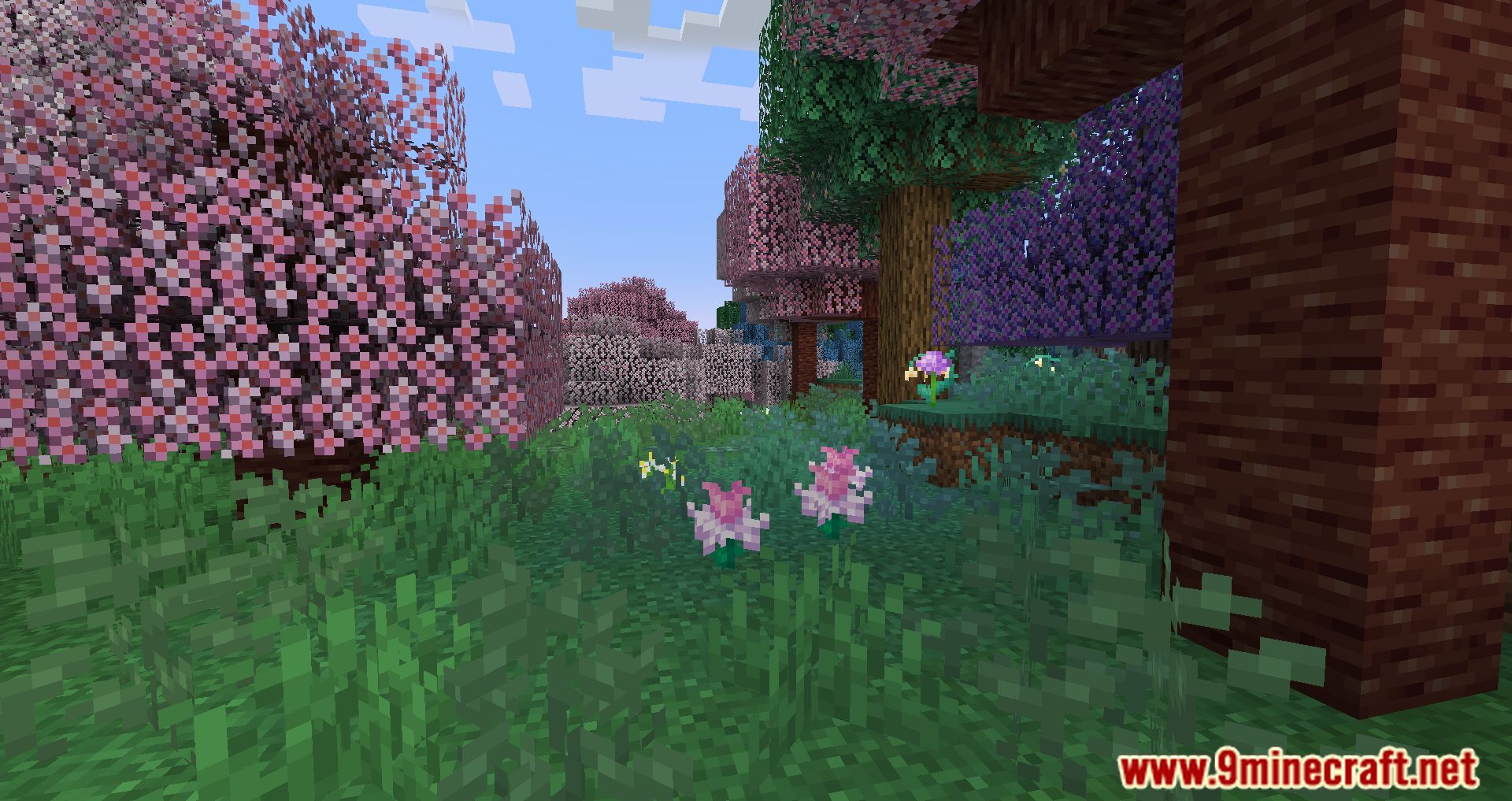 description_11 Mod Pack ligeramente aromatizado - Escucha el viento y la aventura.