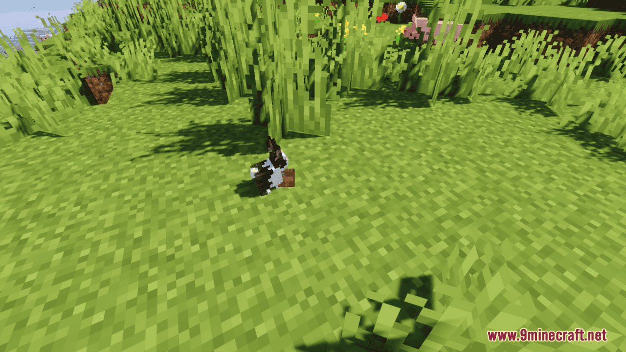 description_12 Better Farm Animals Resource Pack (1.20.2, 1.20.1, 1.20) - texture pack