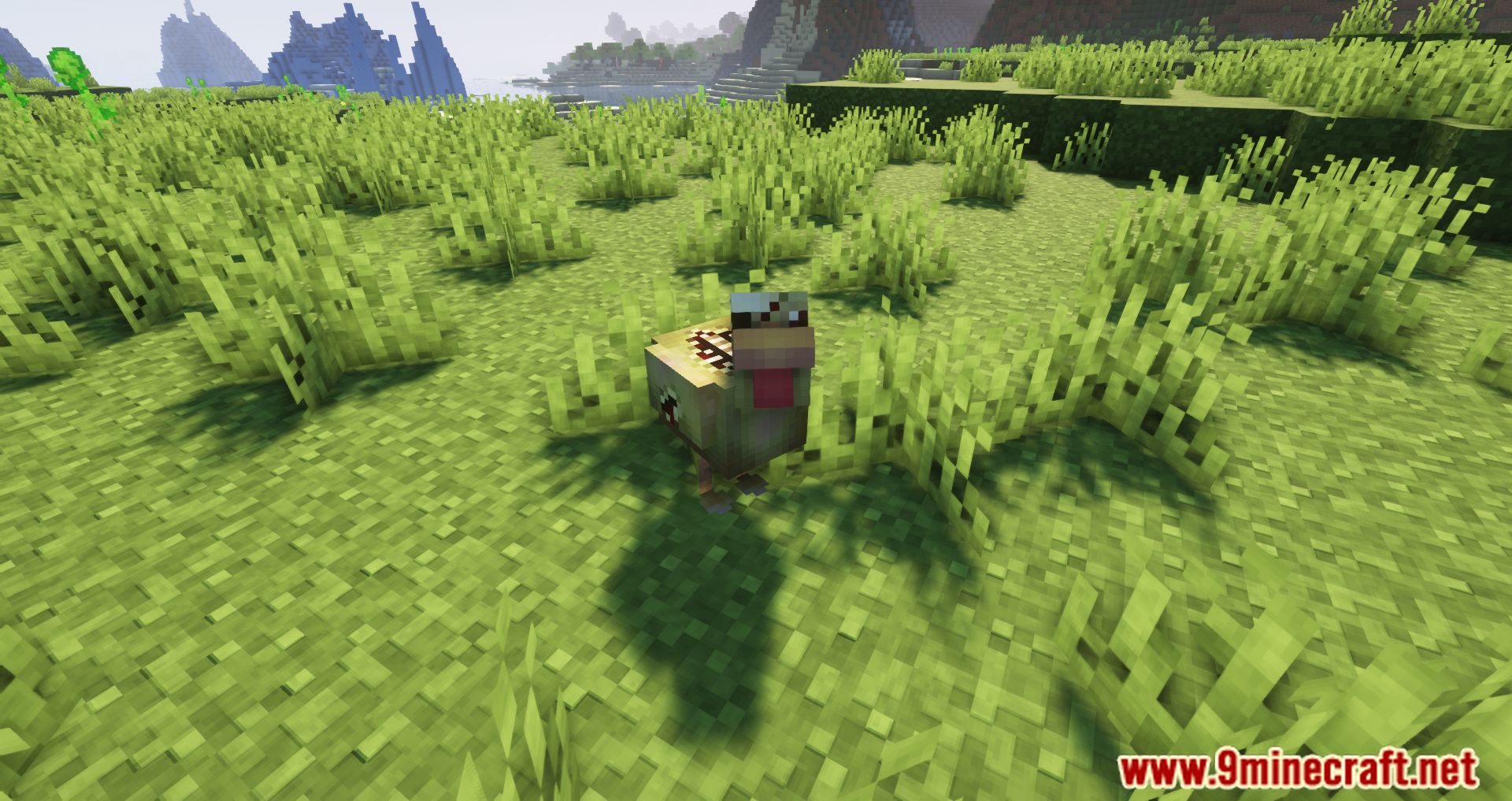 description_7 Roost Ultimate Mod (1.20.4) - capture, breed and extract resources for chickens