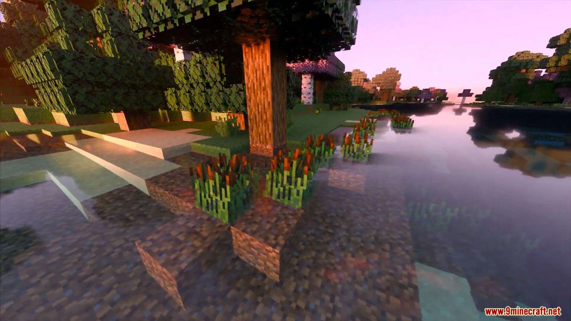 image 1 for Lumen RTX Shaders (1.20) - Nvidia Ray-Tracing GPU Shaders