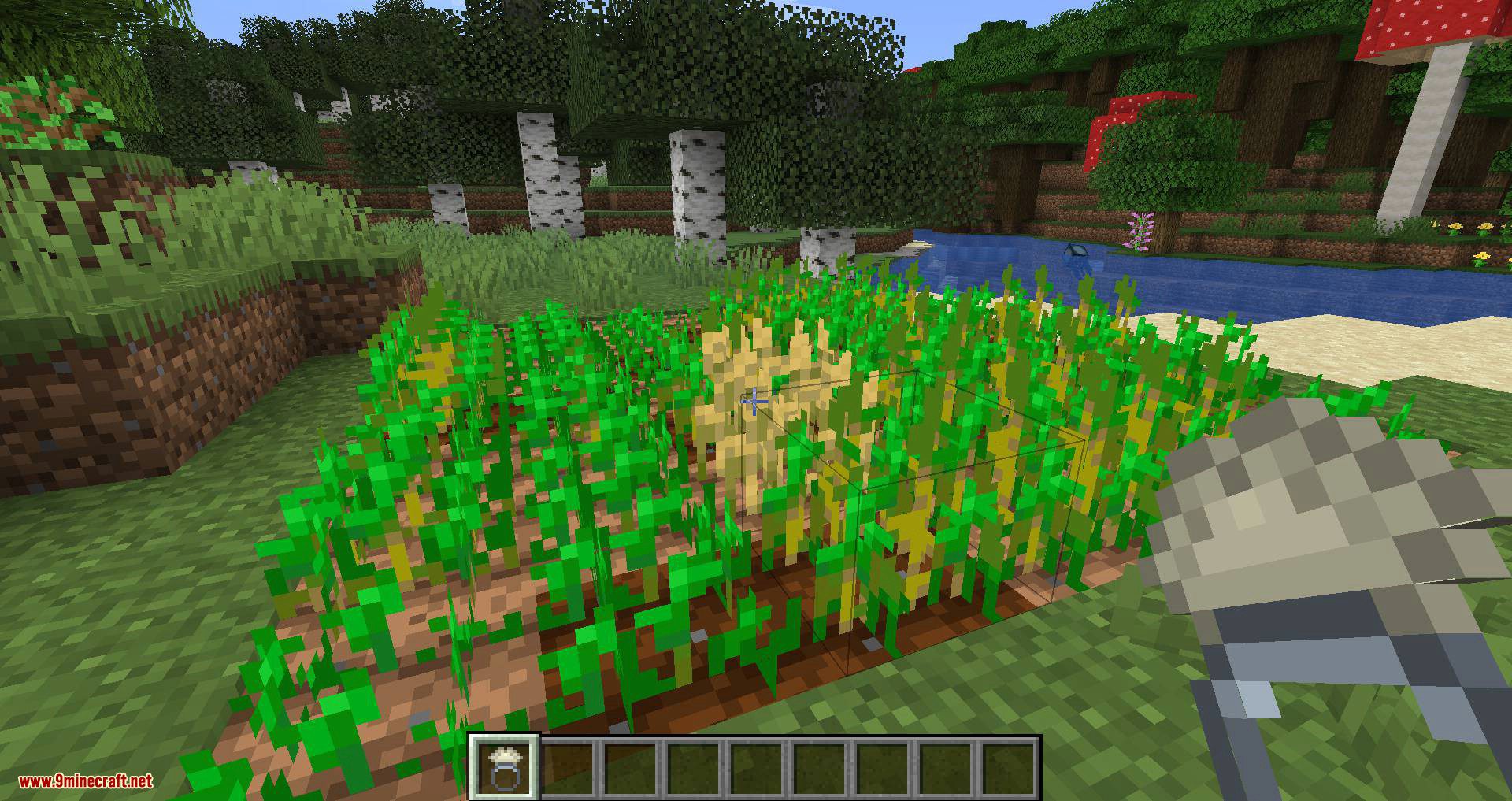 image 9 for Growth Ring Mode (1.20.5) - accelerated growth.