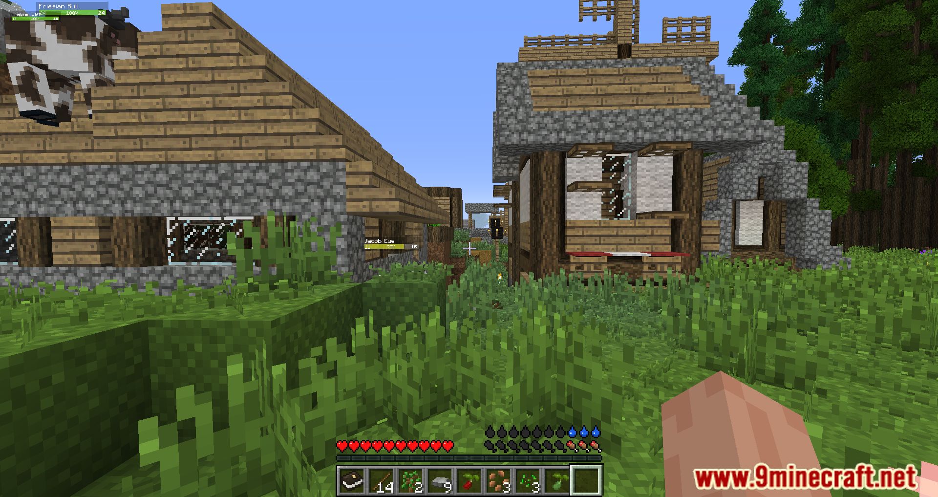 description_7 Homestead Modpack (1.10.2) - хардкорный модпак для выживания