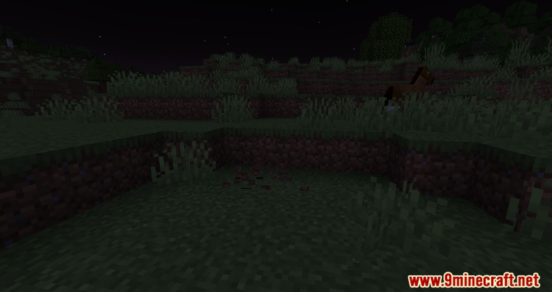 description_4 Мод Spawn Animations (1.20.4) - оживление невидимого
