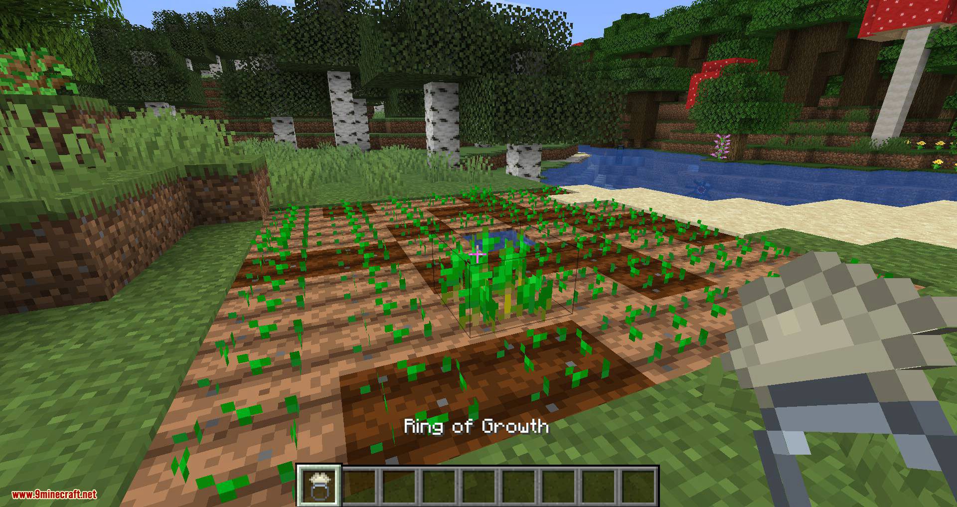 image 8 for Growth Ring Mode (1.20.5) - accelerated growth.