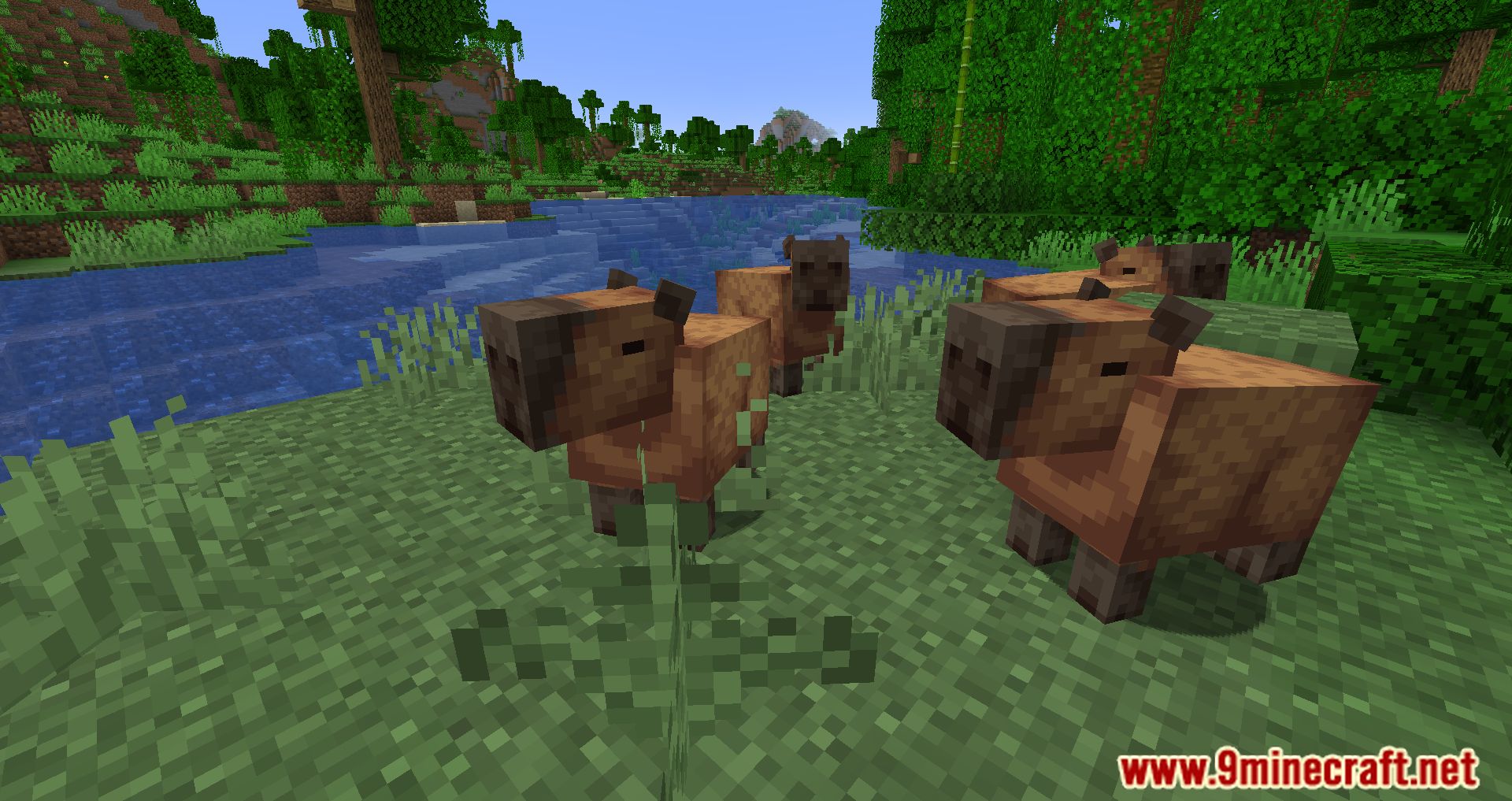 description_6 Capybara Mod 1.20.2 - Новые существа в джунглях