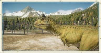  image 5 for