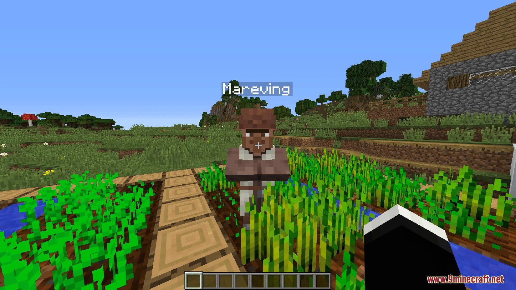 image 3 for Мод AstroTibs' Village Names Mod (1.12.2) - генерирует названия деревень
