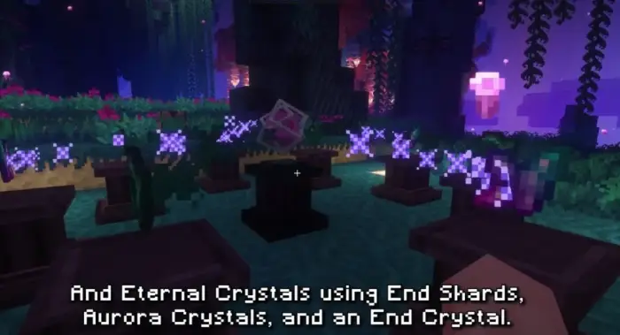 image 7 for 
