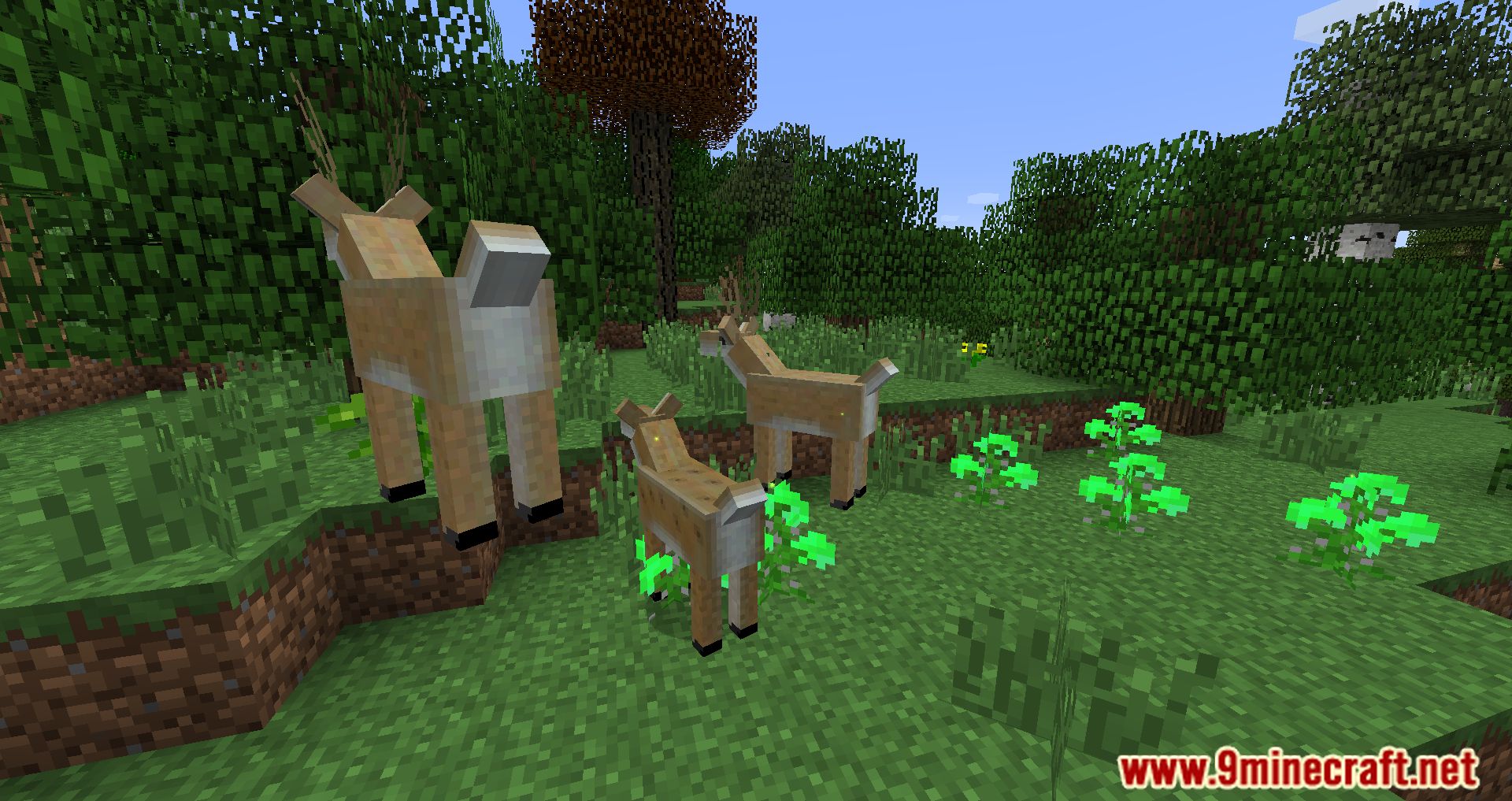 description_15 Magic Farm 3: Harvest Modpack (1.7.10) - усложняет общее выживание