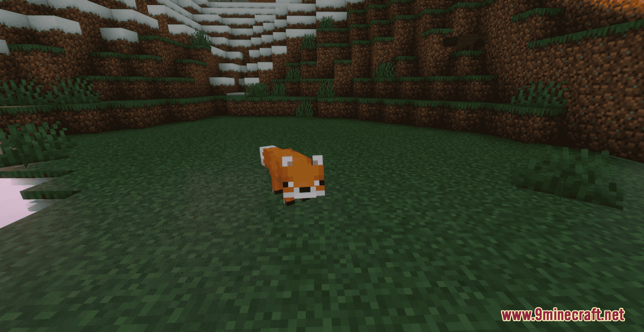 description_1 Paquete de recursos de variedad Fox (1.19.3, 1.18.2) - paquete de texturas