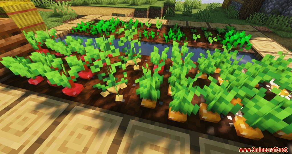 description_2 Crops 3D Resource Pack (1.19.4, 1.19.2 пакет текстур