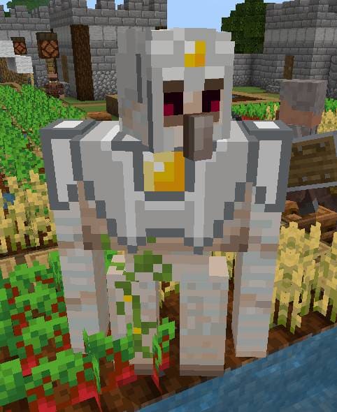 description_21 Сельчанин-солдат.