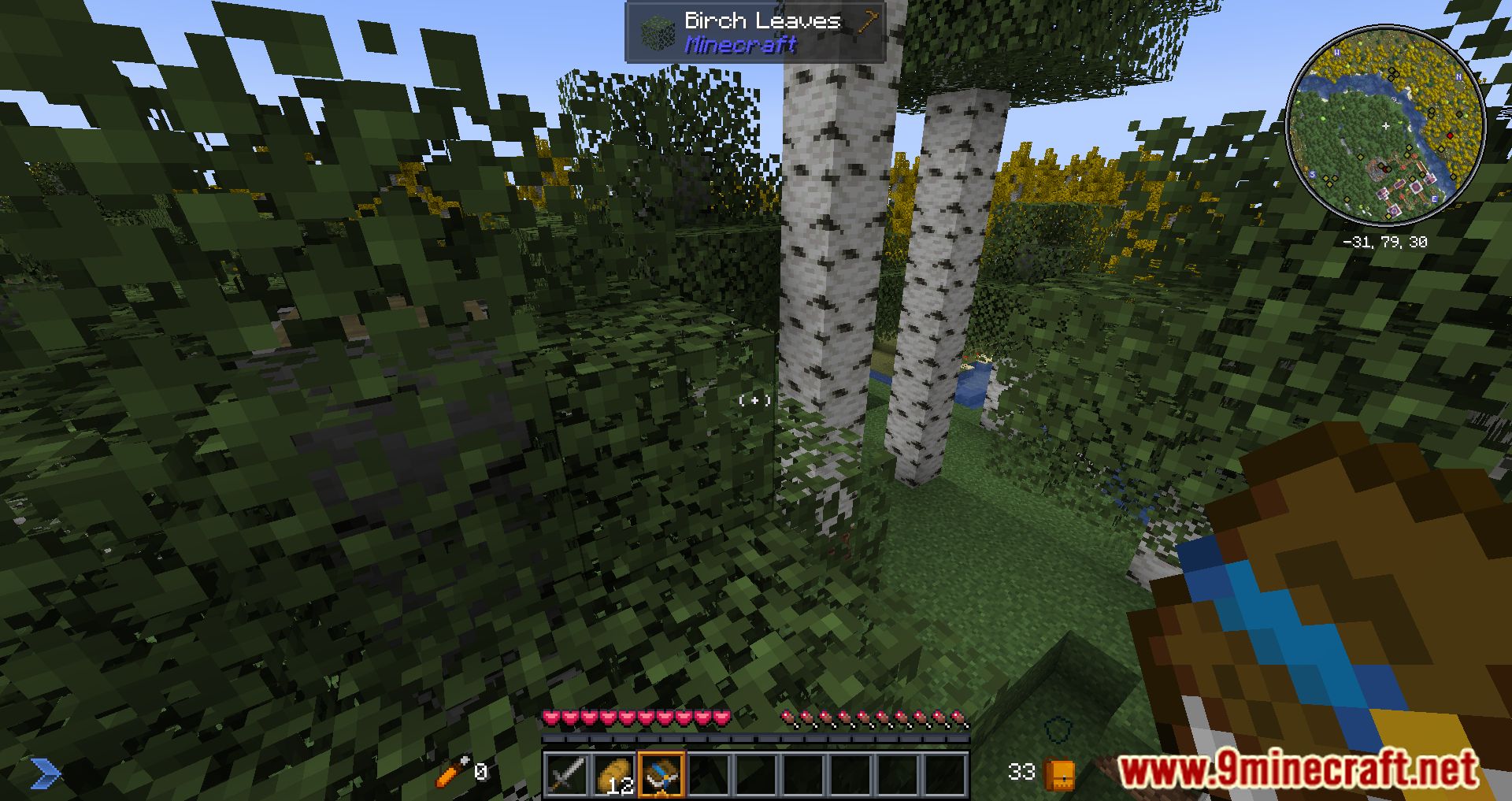 description_21 Prominence Modpack - Combat, Tech, Exploration Or Magic！