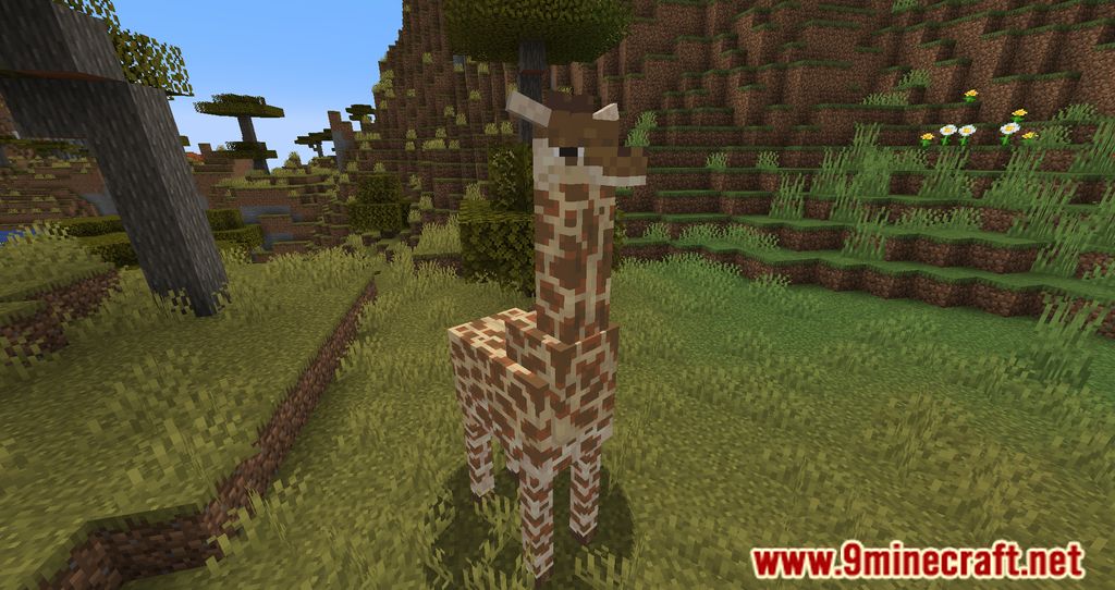 description_2 Módulo de remodelación de criaturas 1.20.1 - Nueva vida silvestre