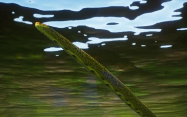 image 4 for 