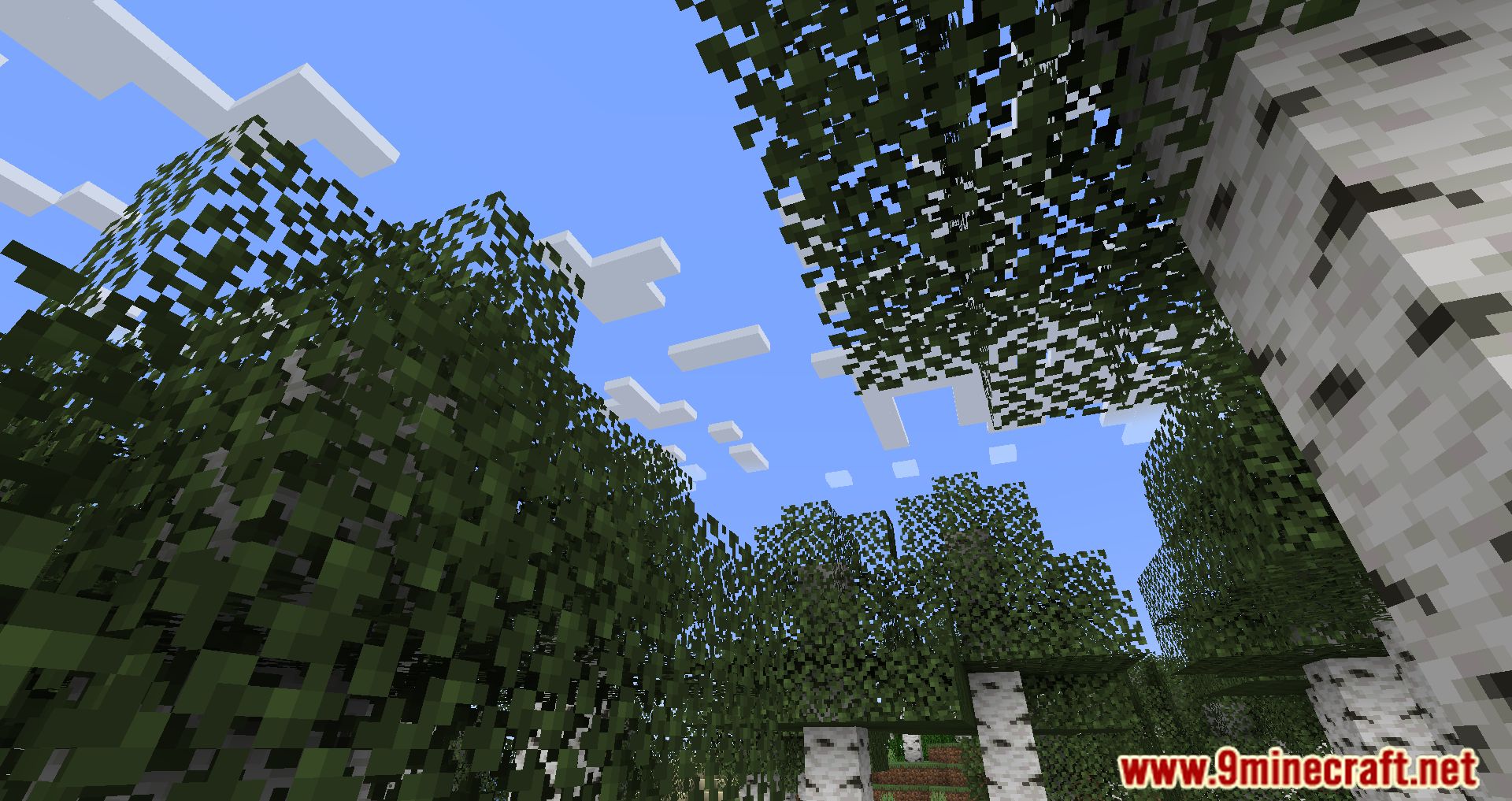 description_7 Cull Less Leaves Reforged Mod (1.20.2) - Melhora o visual e o desempenho da sua Minecraft.