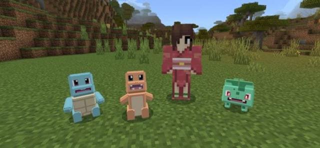 description_0 Pokecraft.