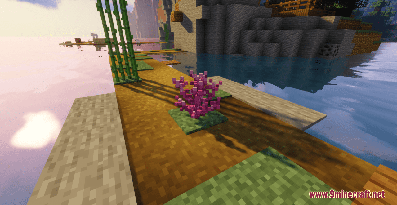 description_2 Cybers Better Coral Resource Pack (1.19.4, 1.19.2, 1.19) - текстурный пакет