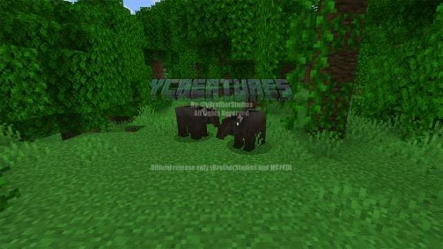 description_4 Больше животных.