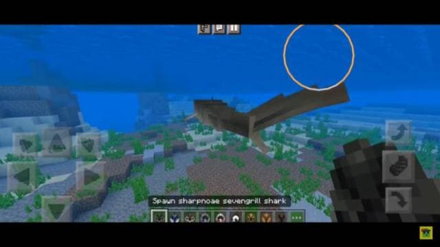description_4 Подводные животные.