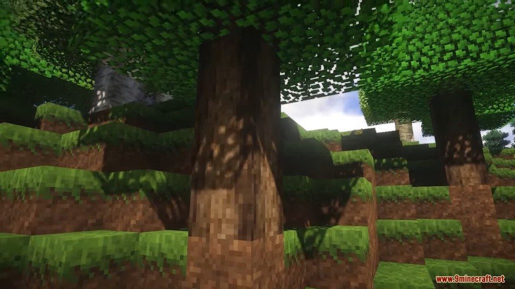 description_1 Paquete de recursos de realismo natural (1.16.5) - Paquete de texturas