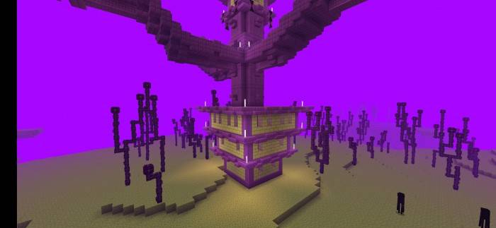 description_4 Craddy shaders