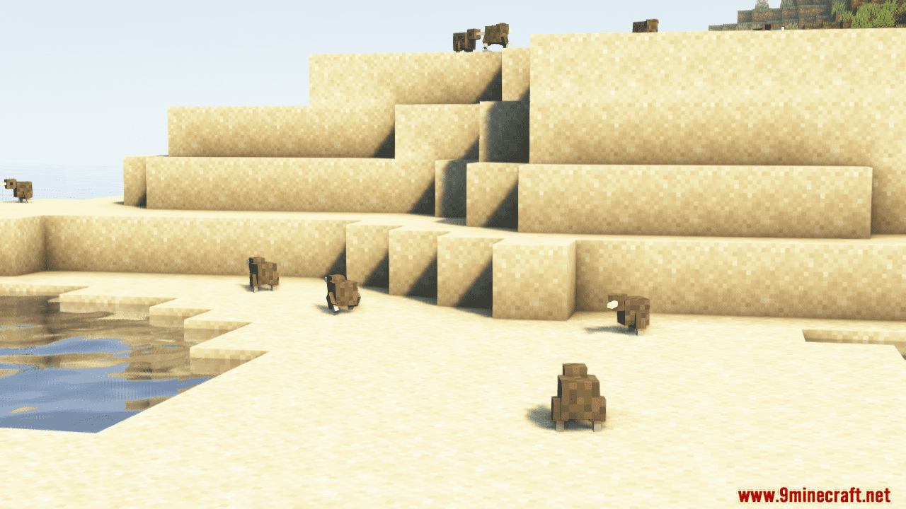 description_0 Jagm's Kiwis Mod - adorables amigos pájaros