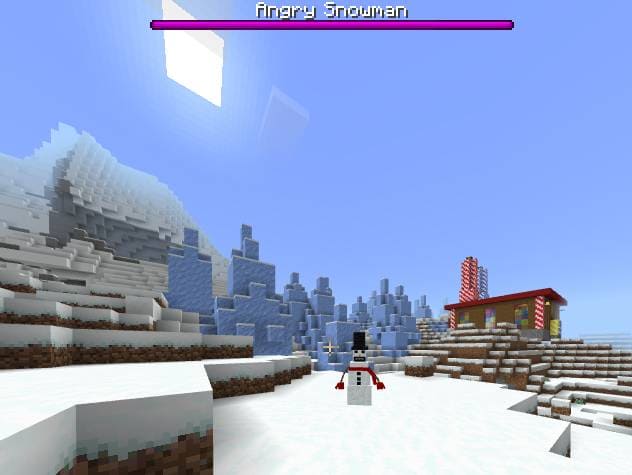 description_11 New Year's survival.