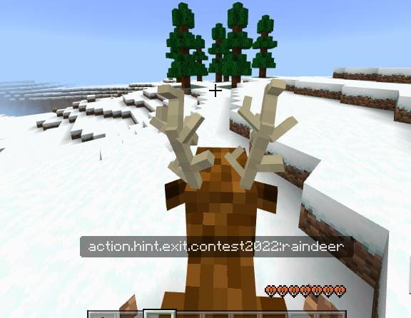 description_3 New Year's survival.