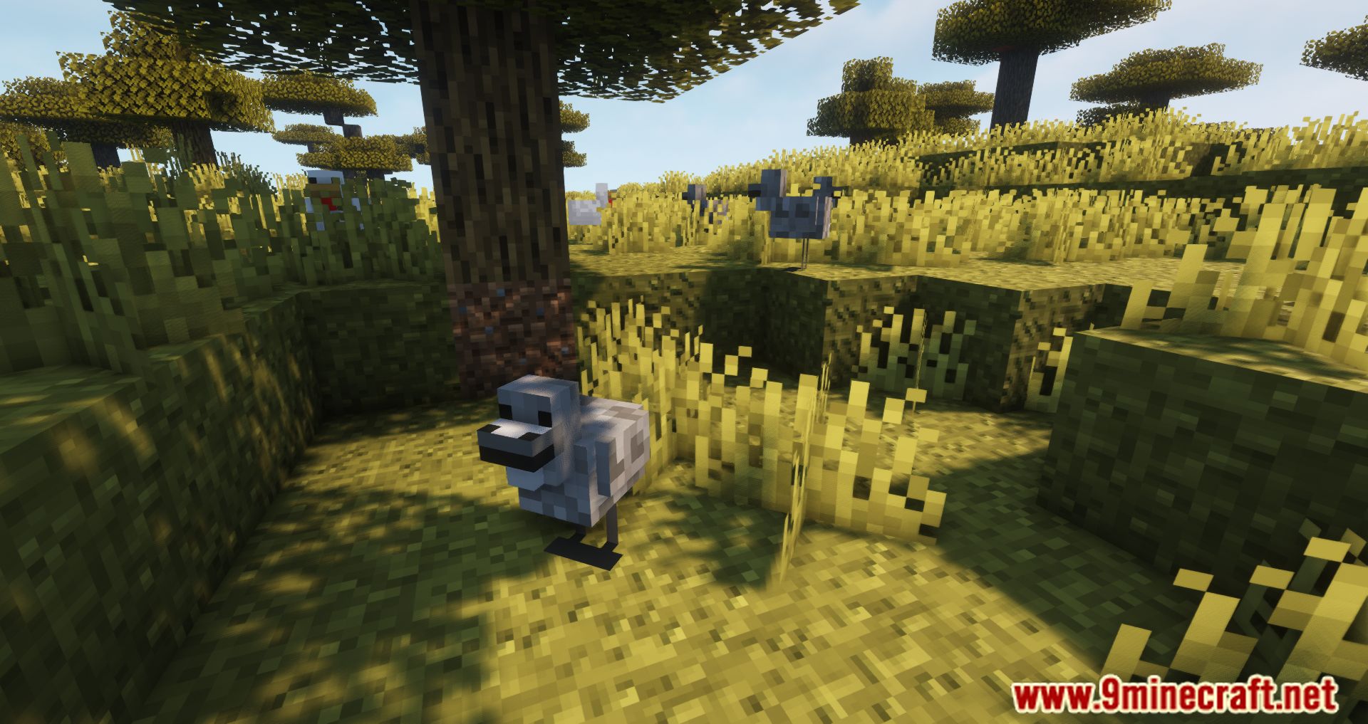 description_6 CreeperHost Presents Chickens Mod 1.19.2 - Chickens cackle less.