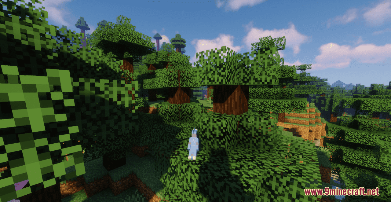 description_6 Aesthetic Birds Resource Pack (1.19.4, 1.19.2, 1.19) - texture pack