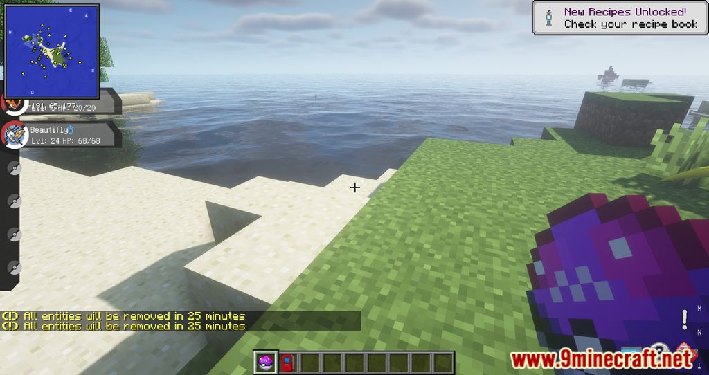 description_0 PokeRemoval Mod 1.16.5 - Limpe seu servidor Pixelmon