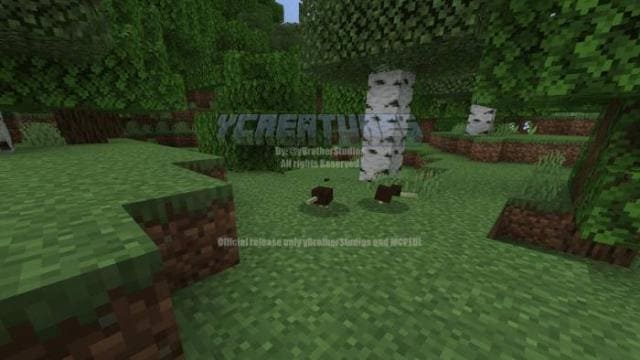 description_24 Больше животных.