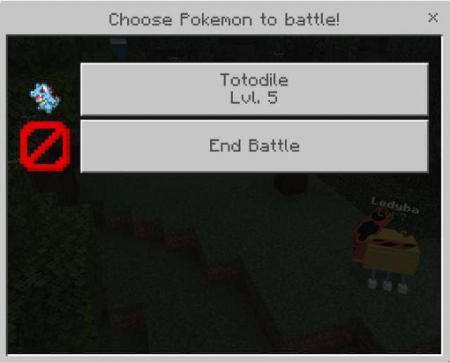description_14 Pokébedrock