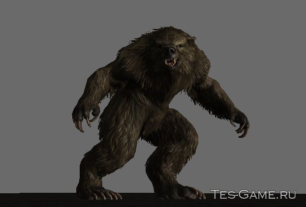 description_3 Wicked Werewolves - Werewolves SE replayer