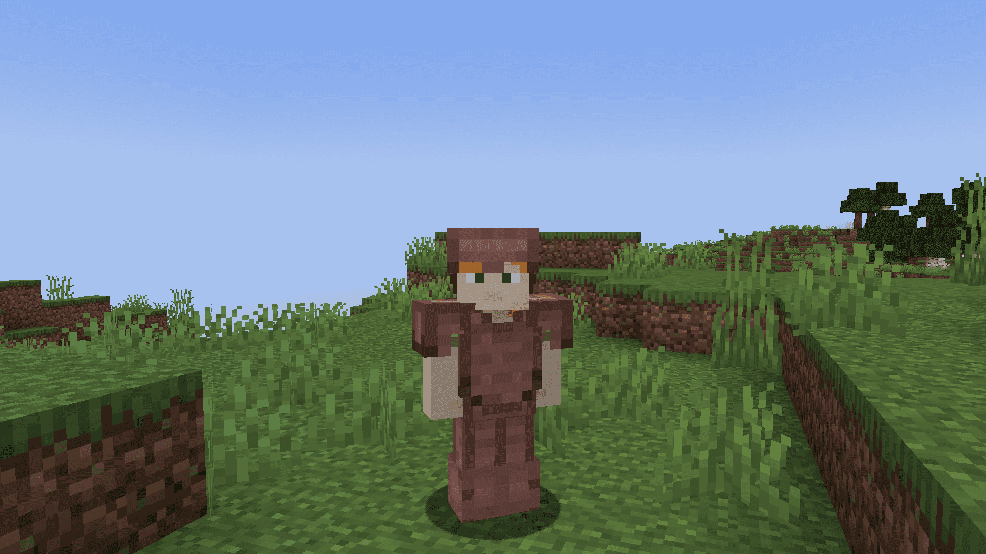 image 5 for Мод Armadillo Scute Armour (1.20.6) - Набор брони Scute