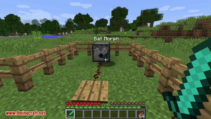 description_3 Мод MetaMorph (1.12.2) - превращает в ванильного моба.