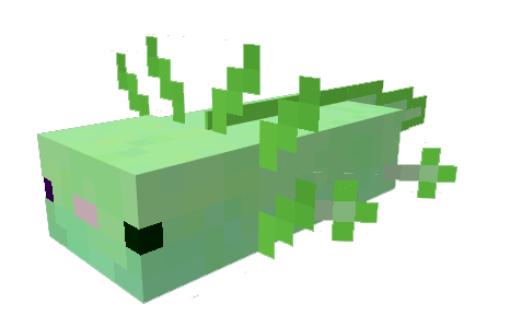 description_3 Mod: Axolotl.