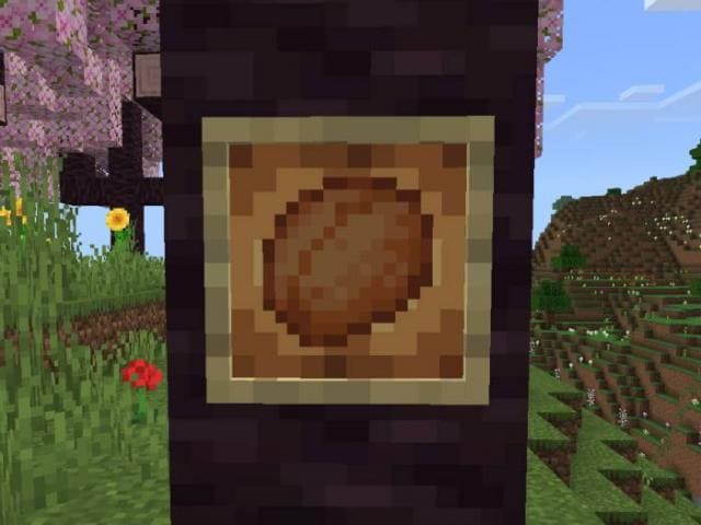 description_6 Биом цветущей вишни.
