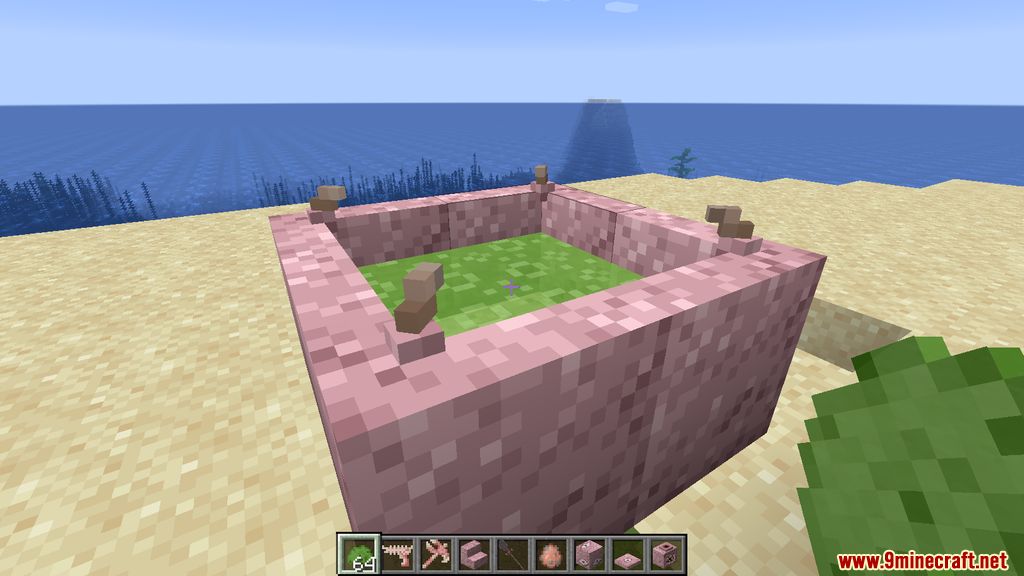 description_12 Biomancy Mod 1.19.2 - Mágica de carne, artefato