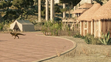  image 4 for