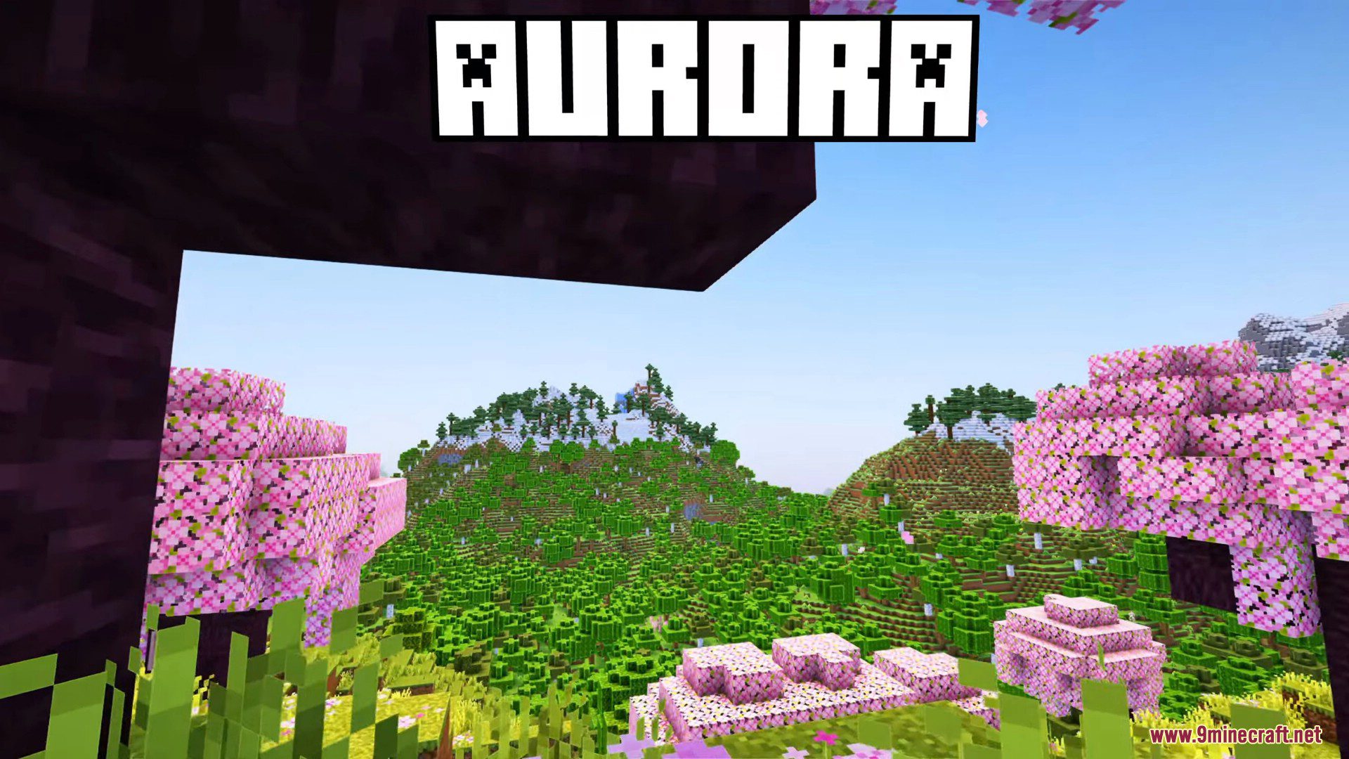 image 8 for Aurora Shaders (1.20.4) - beautiful and colorful lighting