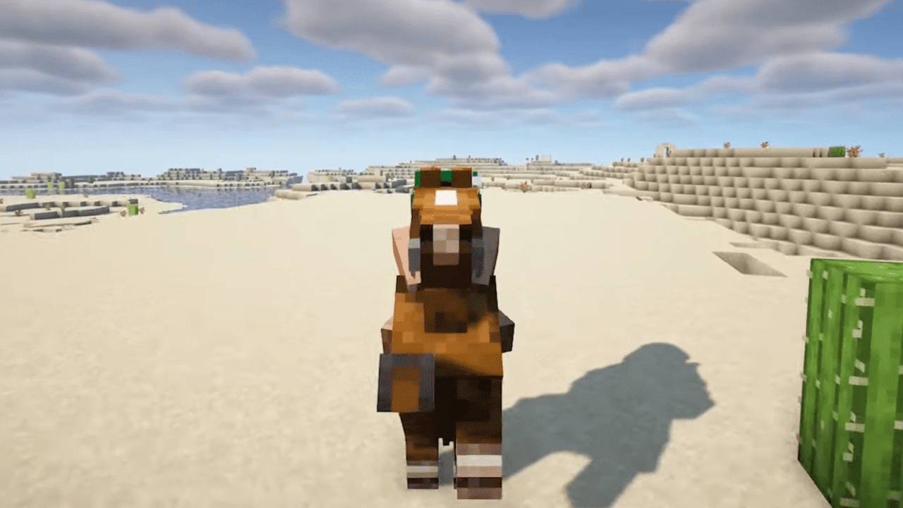 description_0 Serious Player Animations Mod (1.20.4) - refusal of robot movements