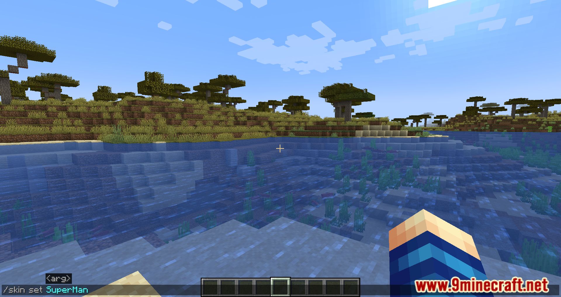image 2 for Skin Restorer Mod (1.20.5) - Changing the Skin Server