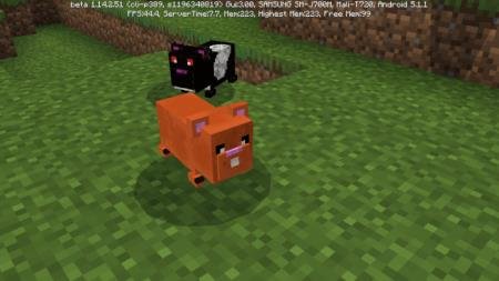 description_5 Mod: Hamster.