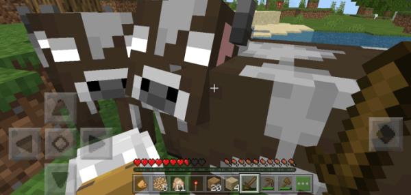 description_34 Herobrine.