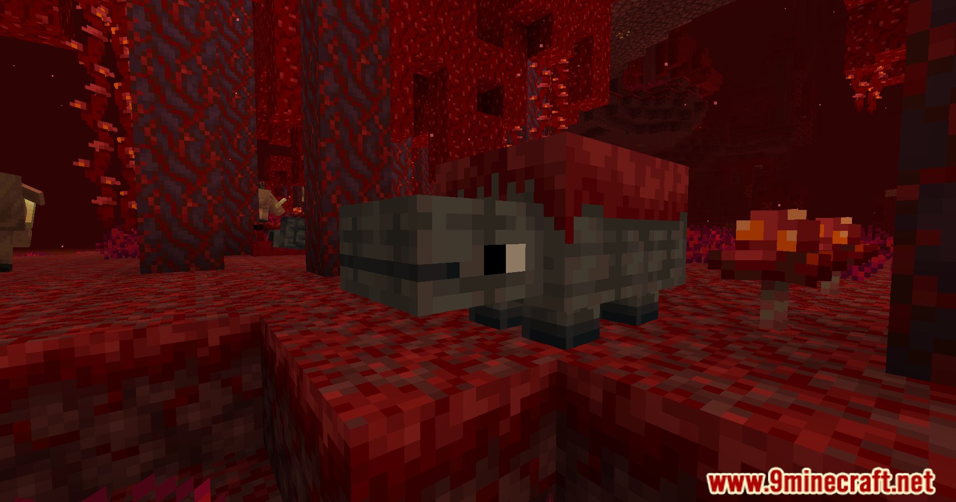 description_1 Nether overhaul mod - release the creatures.