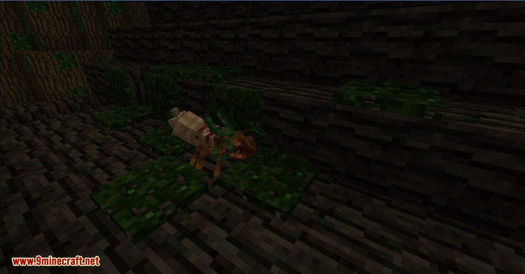 description_33 The Betweenlands Mod (1.12.2) - Странный новый мир